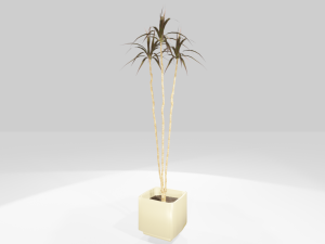 plant in the pot 3D Model