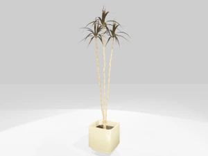 植物在盆里 3D 模型