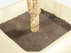 plant in the pot Model 3D