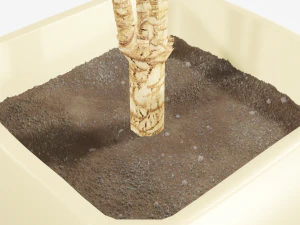 plant in the pot 3D Model