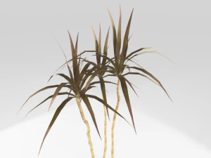 plant in the pot 3D Model