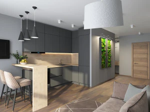 living room kitchen 3D Model
