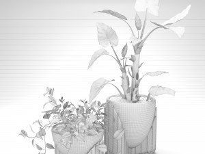 epipremnum and alocasia Modèle 3D