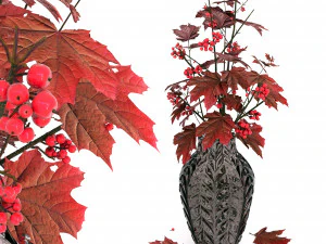 букет 001 3D Модель