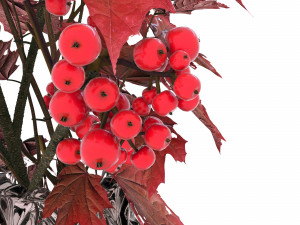 bouquet 001 Modèle 3D