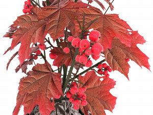 bouquet 001 Modèle 3D