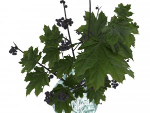 bouquet 002 3D Model
