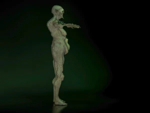 monster creature woman 3D Model