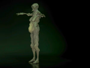 monster creature woman 3D Model