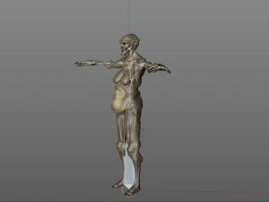 monster creature woman 3D Model