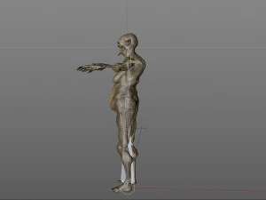 monster creature woman 3D Model