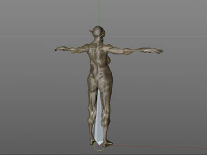 monster creature woman 3D Model