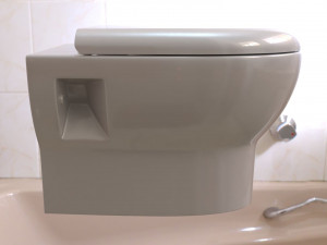 toilet 3D Model
