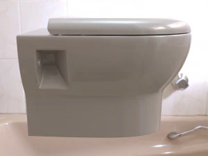 toilet 3D Model