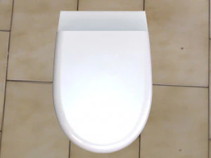 toilet 3D Model