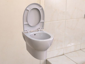toilet 3D Model