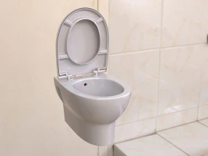 toilet 3D Model