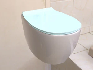 toilet 3D Model