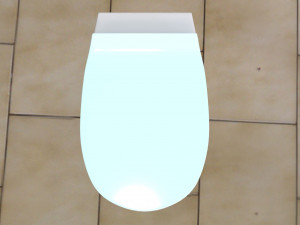 toilet Model 3D