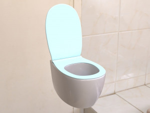 toilet Model 3D