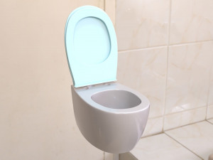toilet Model 3D