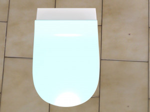 toilet 3D Model