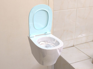 toilet 3D Model