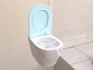 toilet 3D Model
