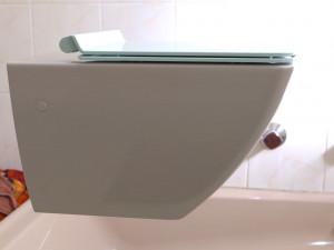 toilet 3D Model