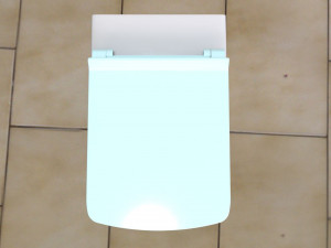 toilet 3D Model