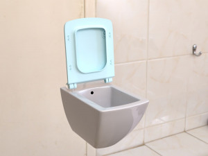 toilet 3D Model