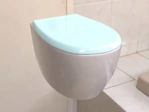toilet 3D Model