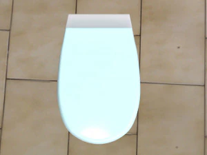 toilet 3D Model