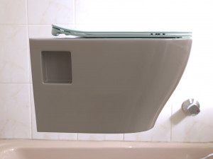 toilet Modèle 3D