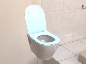 toilet Modèle 3D
