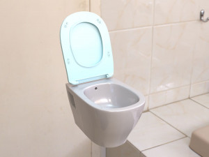 toilet Modèle 3D