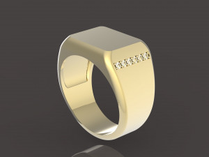 signet 3D Print Model