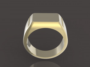 signet 3D Baskı Modeli