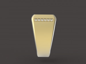signet 3D Baskı Modeli