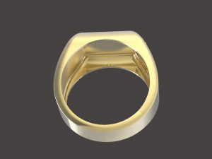 signet 3D Baskı Modeli