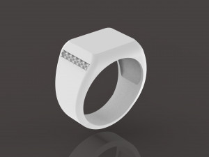 signet 3D Baskı Modeli