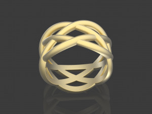 braided pattern ring 3D Принт Модель