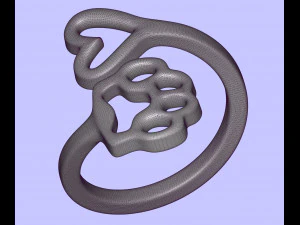 心和爪子 3D 打印模型