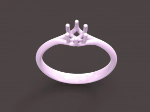 narcissus engagment ring 3D Print Model