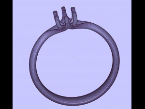 narcissus engagment ring 3D Print Model