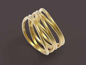 5个圆环 3D 打印模型