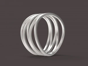 5个圆环 3D 打印模型