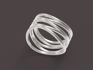 5个圆环 3D 打印模型