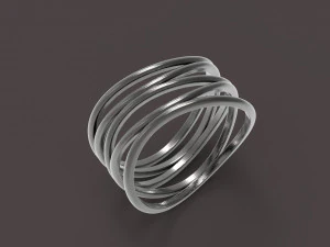 5个圆环 3D 打印模型