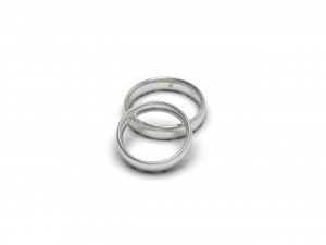 wedding rings one stone 3D Print Model